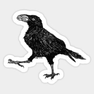 Peanut Crow (Revisited) Sticker